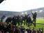 Arminia Bielefeld - VfL Bochum - photo
